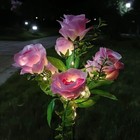 Picture 18 of 21