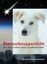 Bild 1 von 1