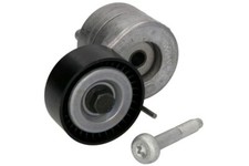 Fits INA 534 0607 10 Tensioner Lever, V-ribbed belt DE stock