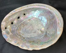 Vintage Large Abalone Shell Mother of Pearl 8 1/2 x 6 3/4 (A3)