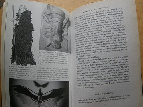 From the Ashes of Angels - Collins NEPHILIM ATLANTIS OCCULT MYTH GIANTS LEGEND - Imagen 9 de 18