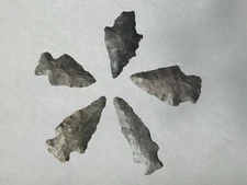 AMAZING LOT OF RIVERTON CULTURE ARCHAIC BIRD POINT ARROWHEADS FROM KENTUCKY #5