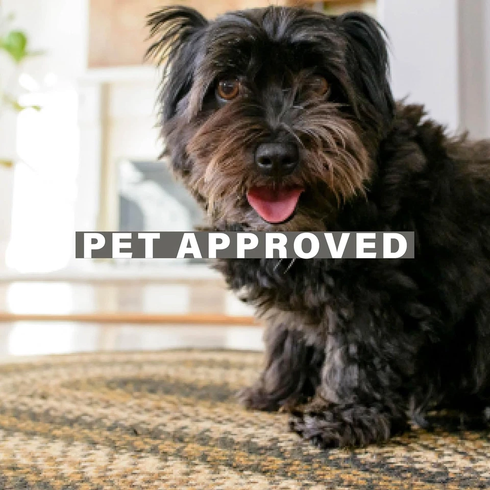 Kilimanjaro Black and Tan Jute Braided Oval Rugs, 16X24 - Warm Primitive Decor, - Image 3 of 4