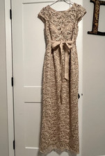 Adrianna Papell Dress Size 14