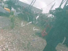 Imagen 4 de 4