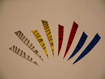 Naturfedern Zebra 12 o. 25 Stck. 4'' u. 5''  Shield rechts Truthahnfedern Ferdern
