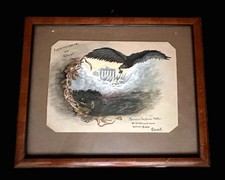 Pièce de dédicace "Feldmorgane des Krieges" de Liesl à son oncle