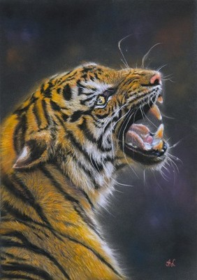  Tiger Painting Original Direct From Artist