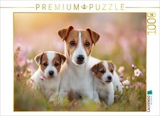 CALVENDO Puzzle Kuschelalarm garantiert  1000 Teile Lege-Gr  e 64  48 cm Foto-