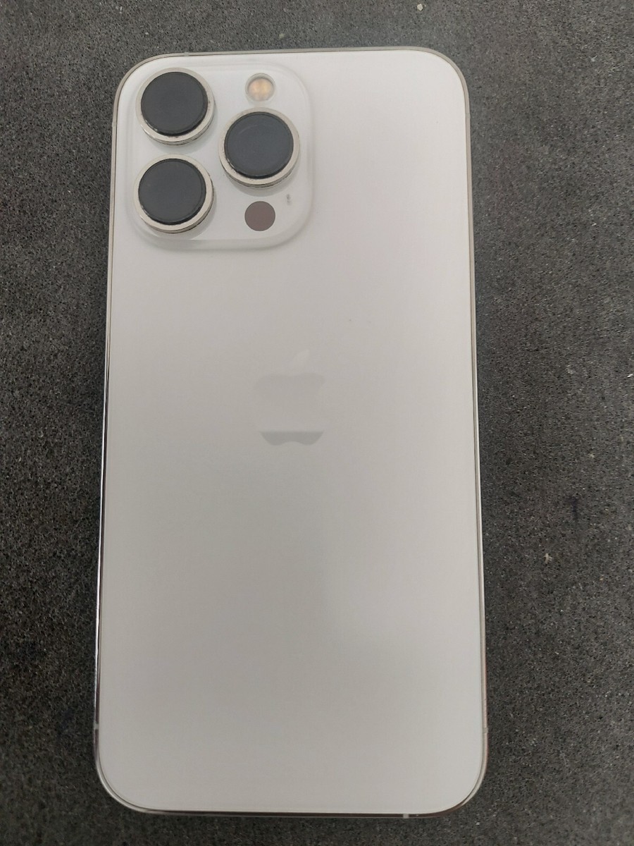 Apple iPhone 13 Pro Max 6.7” Rear Housing Silver Colour +