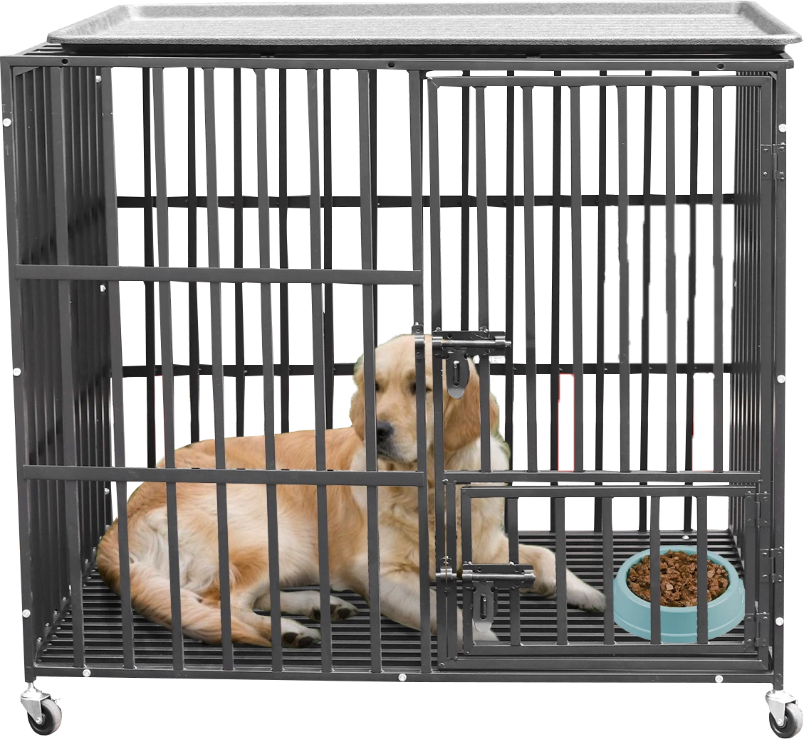 Professional top dog cages