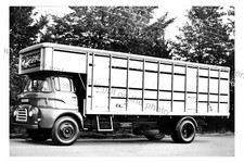 CV123 - Oldhams Livestock Transport Lorry - photograph 6" x 4" 