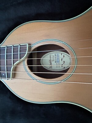 Washburn Rover RO10RWC Traveler Guitar. S/N SC15083407. * Opened Box item *
