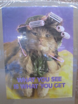 Vintage What you see is what you get  Kitty original cute cat 1986 poster 18228