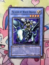 Paladin Of White Dragon SKE-024 Common 1st Edition MP