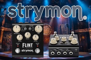 Strymon Flint | eBay