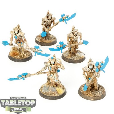 Necrons - 5 Lychguard - bemalt