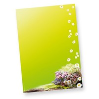 Briefpapier FrüHling GrüN 50 Blatt Din A4 Motivpapier Geburtstag