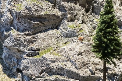 Faller - ROTS- EN TERREINSCHUIM (3/23) *