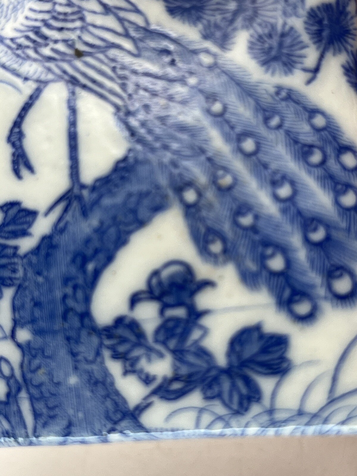 Picture 21 of 22