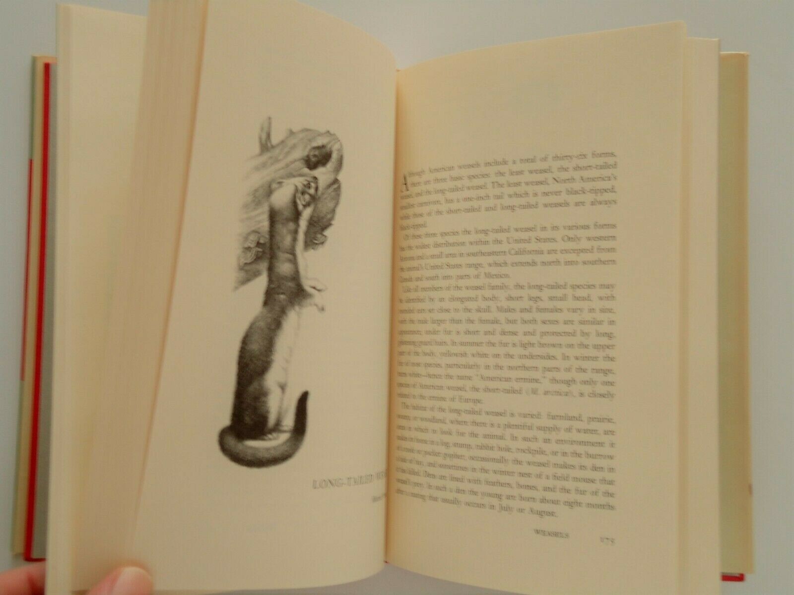 Picture 8 of 8