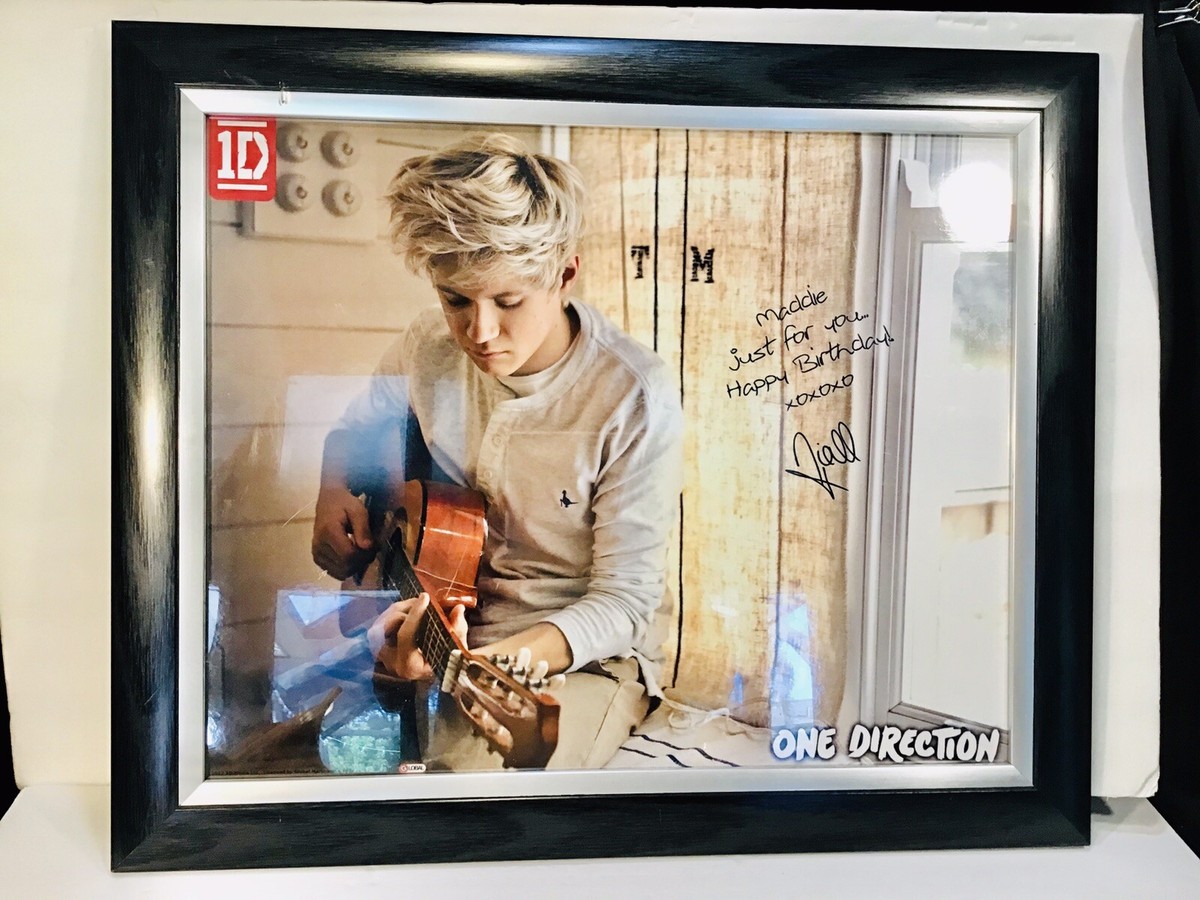 Niall Horan 直筆サインポスター Niall Horan One Direction 2013 authenacated signed poster Famed