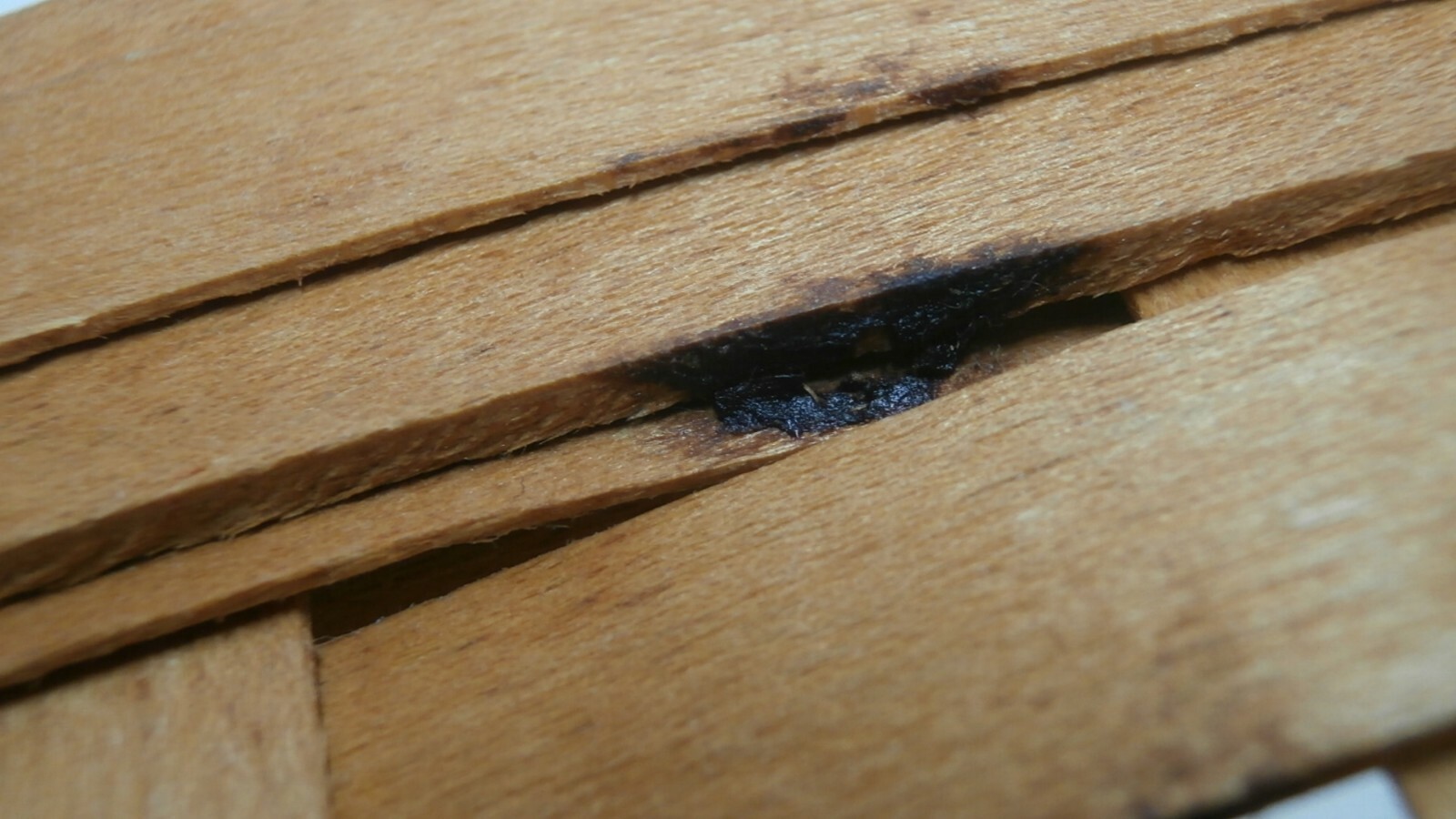 Longaberger 1995 Dresden Basket w/ Plastic Protector Signed by Jerry