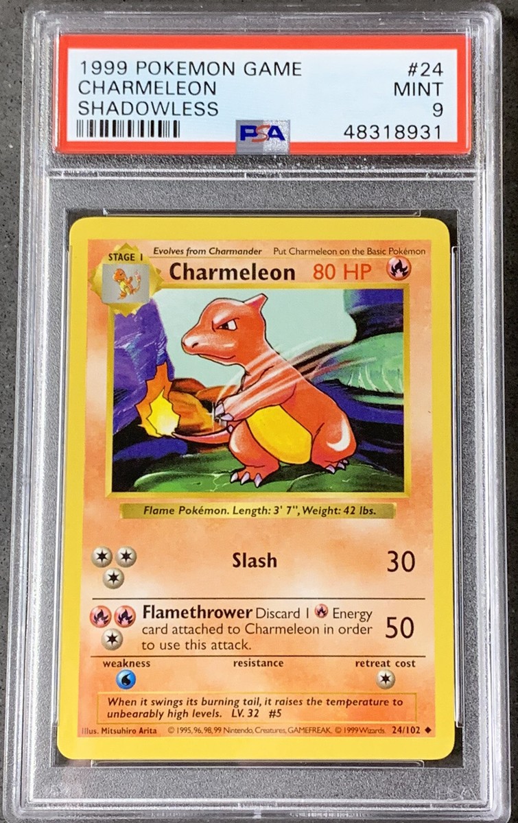 Charmeleon　リザード ● シャドウレスShadowless　ウィザーズ Pokémon Card Shadowless Charmeleon PSA 9 Mint, Base Set 24/102
