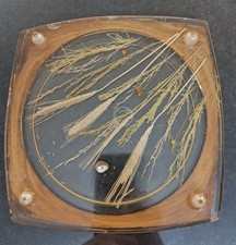 Vintage Lucite Trivet With Wheat Flowers and Lady Bug Made in USA