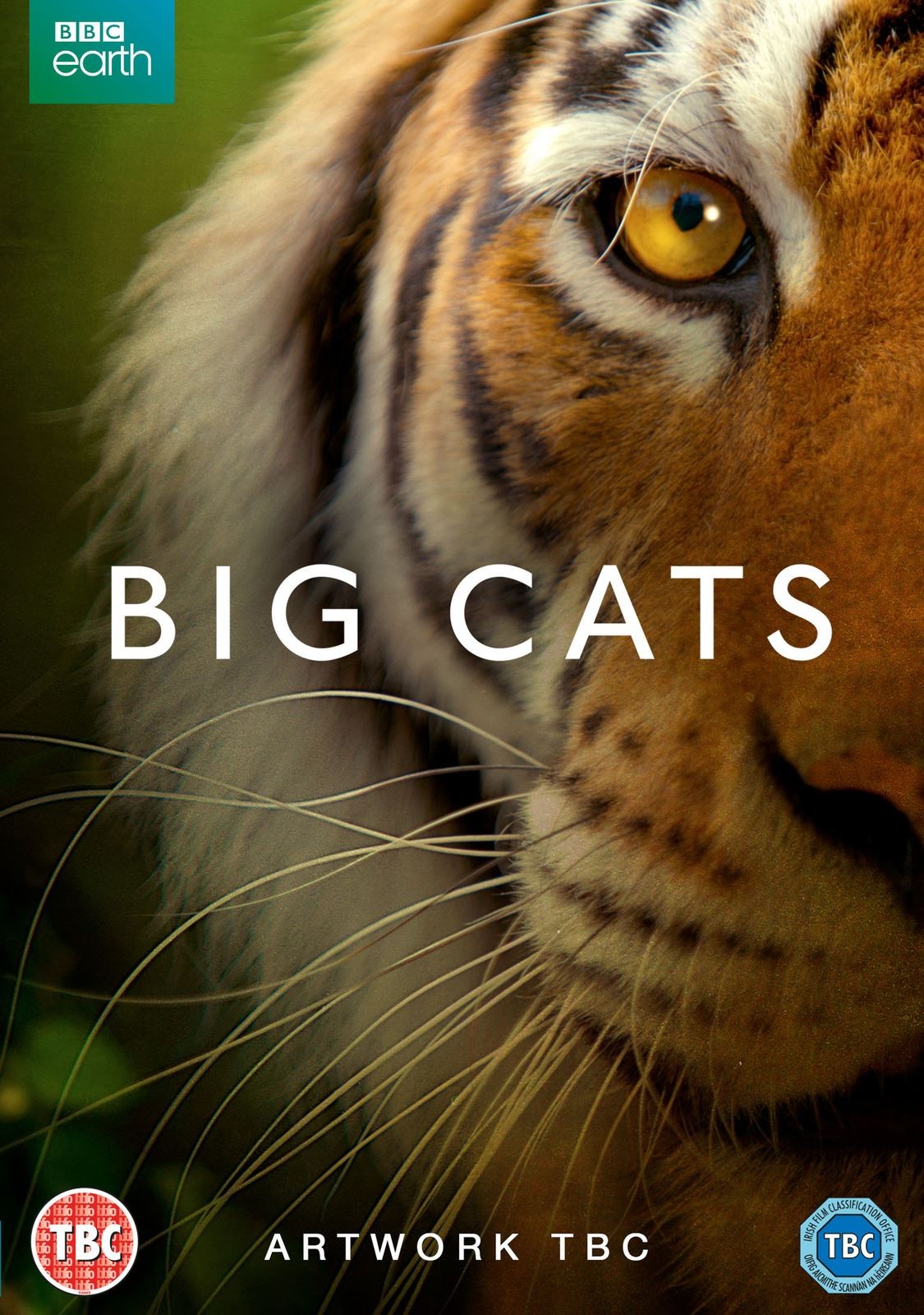 Big Cats [PG] DVD - Bertie Carvel