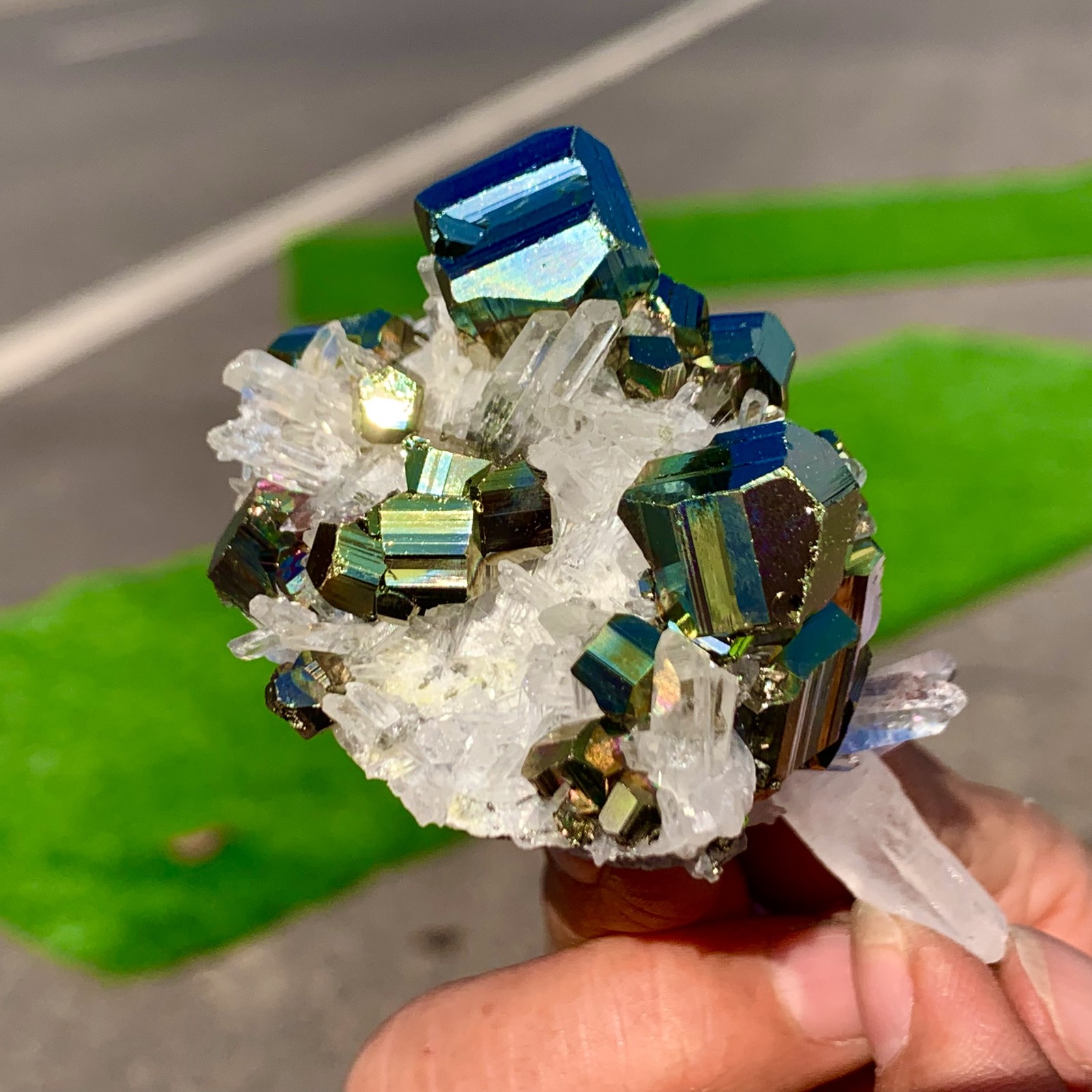 133G Natural colorful chalcopyrite clear Cluster coexisting crystal mineral