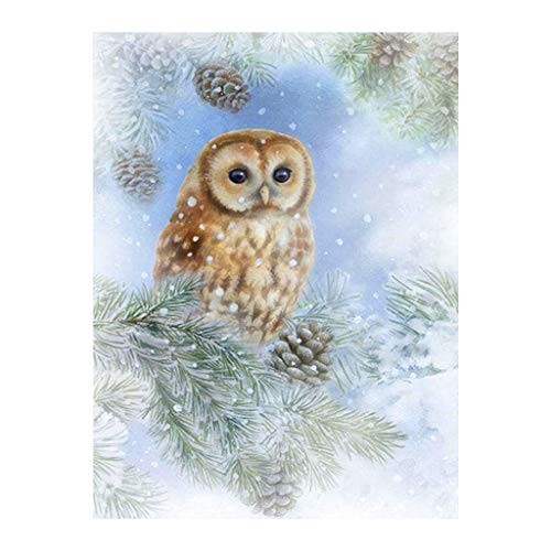 Peinture diamant carré hibou le cadeau créatif idéal pour passionnés