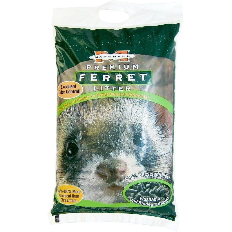 Marshall ferret litter 2025
