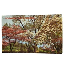 Postcard Greetings From Atlanta Georgia The Dogwood City Chrome Posted