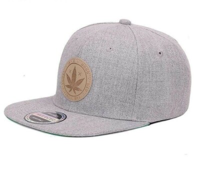 Snapback Cap Leaf 'Today is a Good Day' Unisex Erwachsene grau