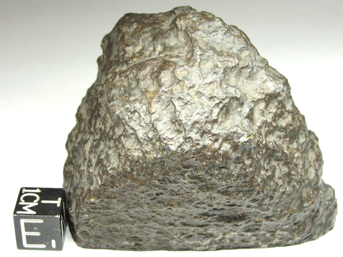 NWA 16820 Achondrite Ureilite Meteorite - G735-0001 - 176.0g - COA