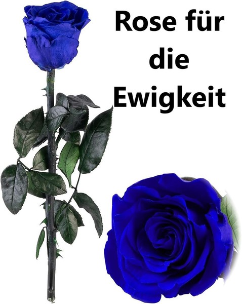 Neu Rose Geschenkbox FüR Valentinstag Muttertag Geburtstag Liebe Ewig Geschenk-image