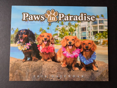 2026 Calendar Hawaii Paws in Paradise