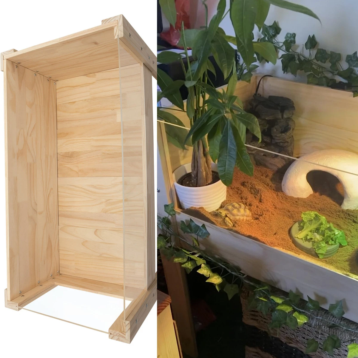 Tortoise hotsell wooden house