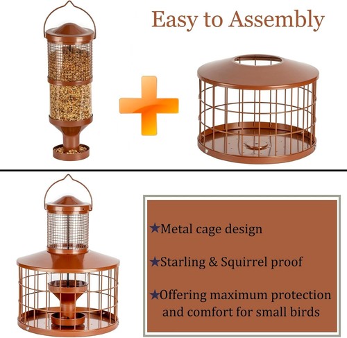 Squirrel-Resistant Hanging Bird Feeder with Removable Lid & 2.8 lbs Capacity - Picture 9 of 9