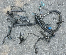 2003 Honda Insight Hybrid OEM Front Engine Bay Injector Wiring Harness