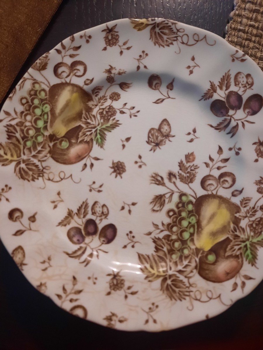 Johns Bros Autumn's Delight 皿 Johnson Bros. Autumn's Delight | eBay