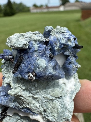 Benitoite, Neptunite, Natrolite Mineral Specimen