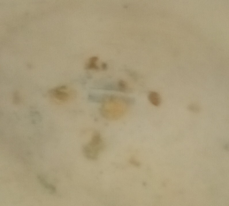 Picture 4 of 5
