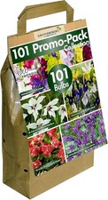 GreenBrokers 101 Promo Pack Collection (5 Different Summer Flowering Bulbs