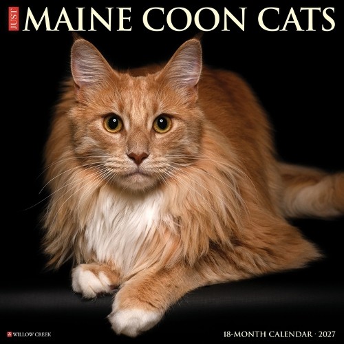 Maine Coon Cats 2027 Wall Willow Creek Press - Image 6