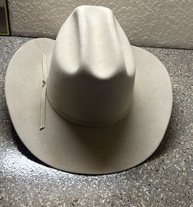Stetson 3X Beaver Hat | eBay