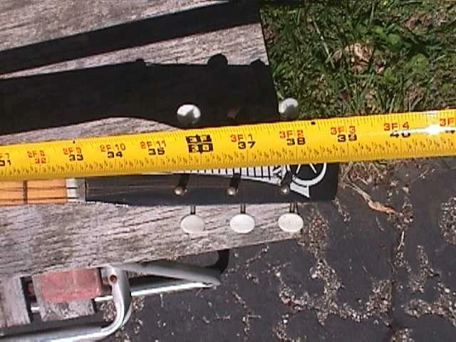 Picture 7 of 24