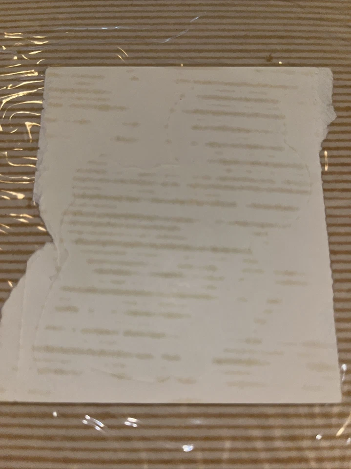 Oso de peluche marrón transparente grande vintage de los años 80 con pegatina de globos rojos difícil de encontrar Foto 2 de 2