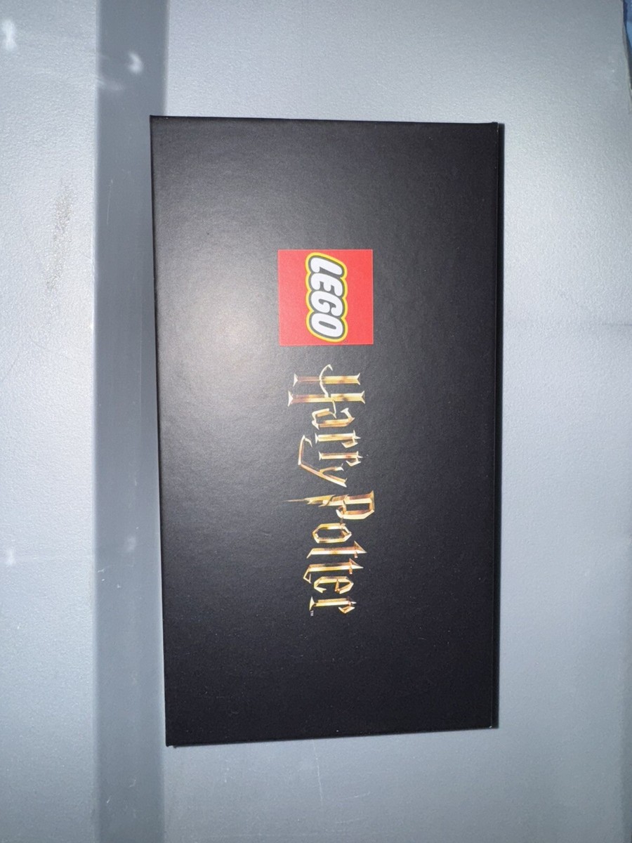 LEGO Harry Potter: Harry Potter & Hermione Granger (76393) for